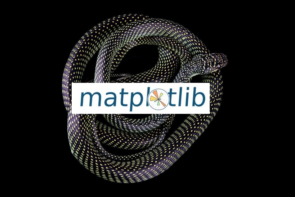 Matplotlib logo and a live python in the black background