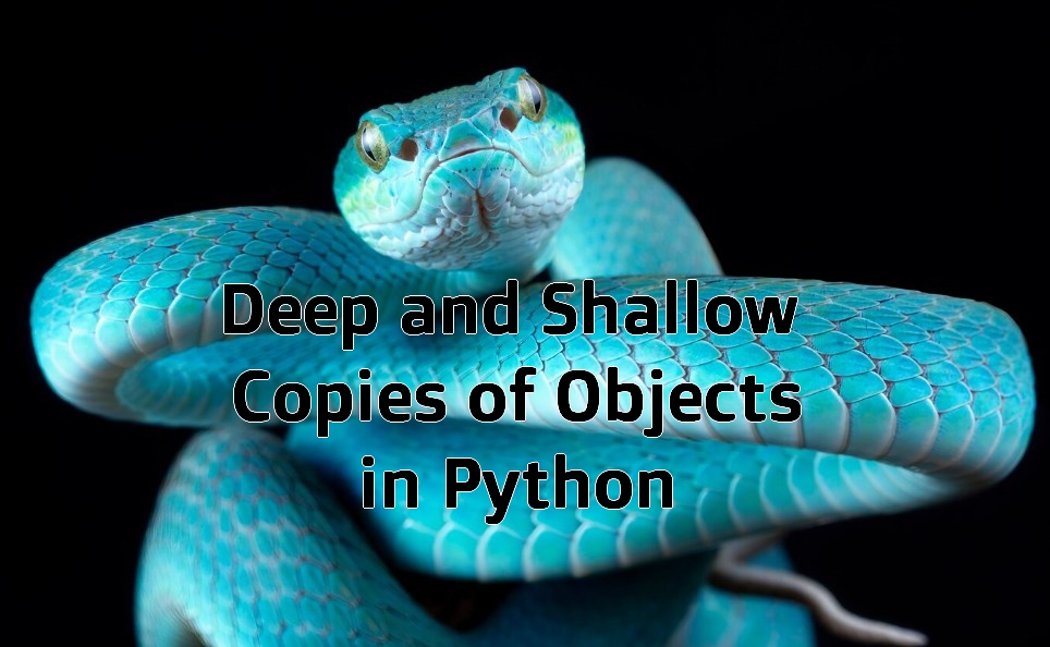 a blue snake with the words “Deep and Shallow Copies of Objects in Python” on it