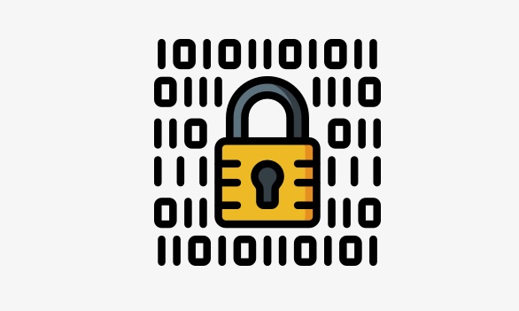 Data Encryption Icon